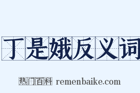 丁是娥反义词是什么意思的图片